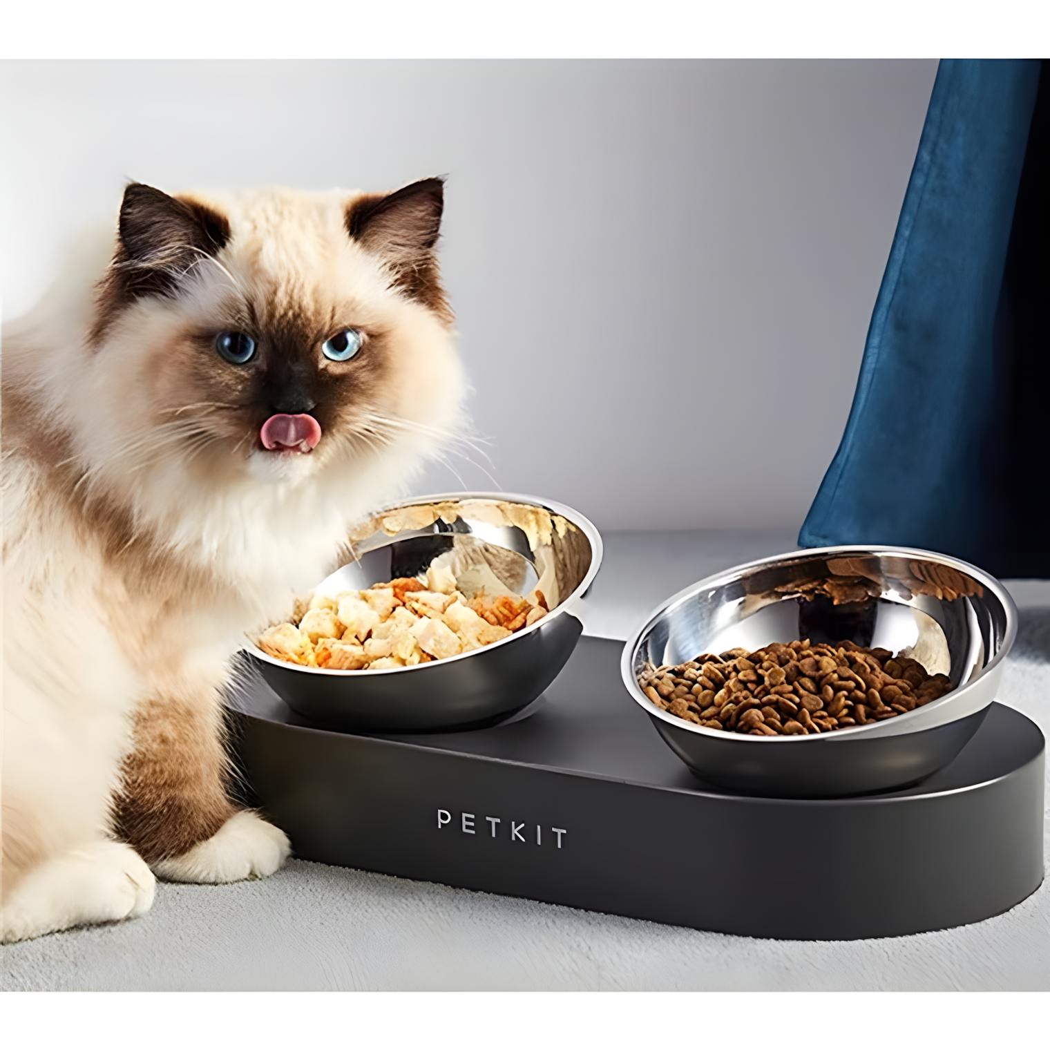 PETKIT Fresh Nano raised pet bowl detail