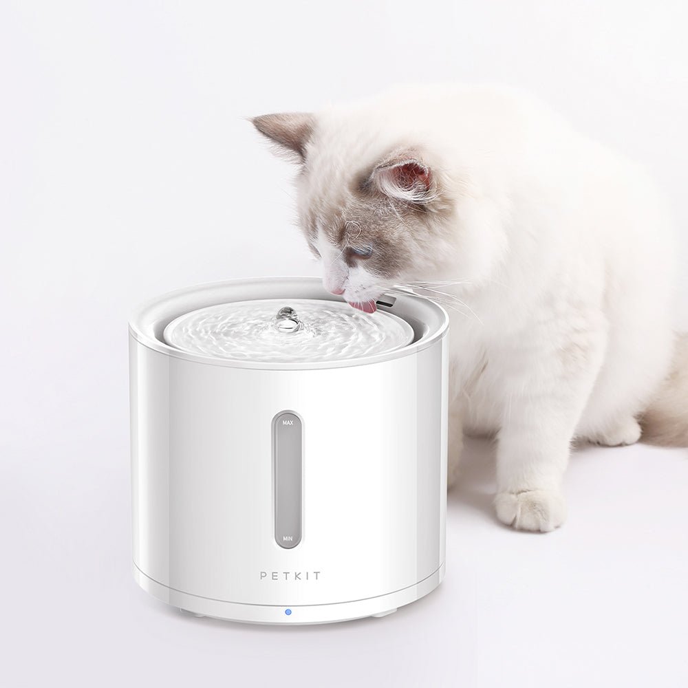 PETKIT EverSweet Solo 2 Pet Water Fountain
