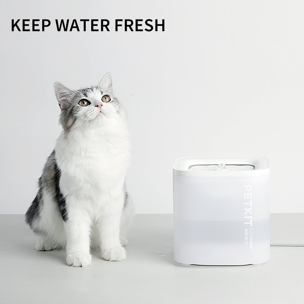 PETKIT EverSweet Solo SE Pet Water Fountain