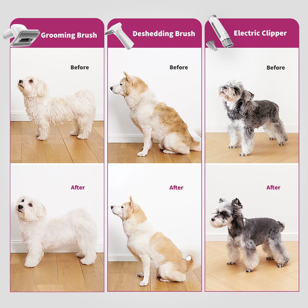 Fur-Free Grooming at Home: Discover the PETKIT FURWAKER 5-in-1 Pet Grooming Kit