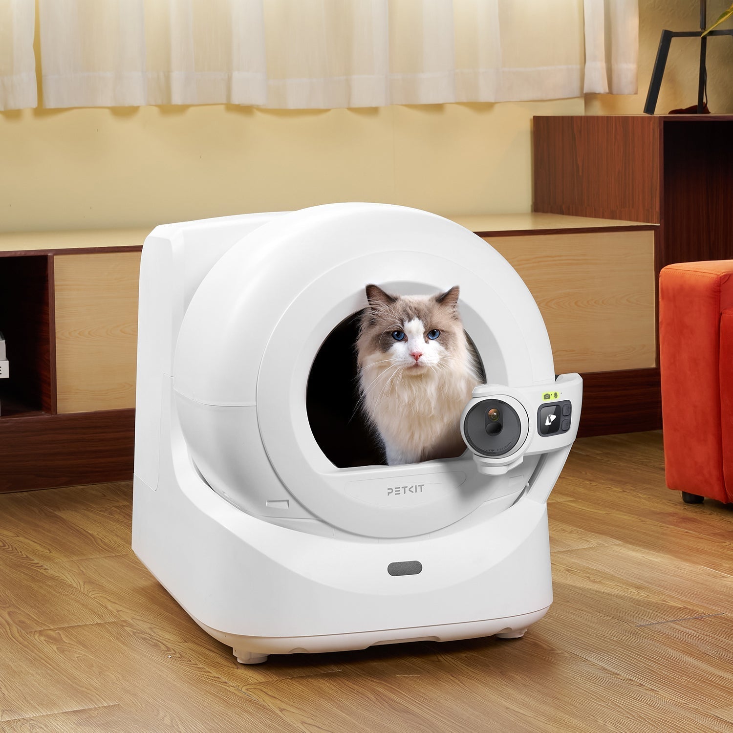Cat using a PETKIT Purobot Ultra automatic litter box
