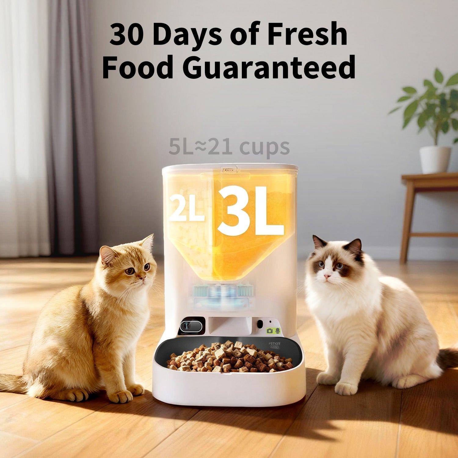 YumShare Dual-hopper 2 automatic feeder bowl detail
